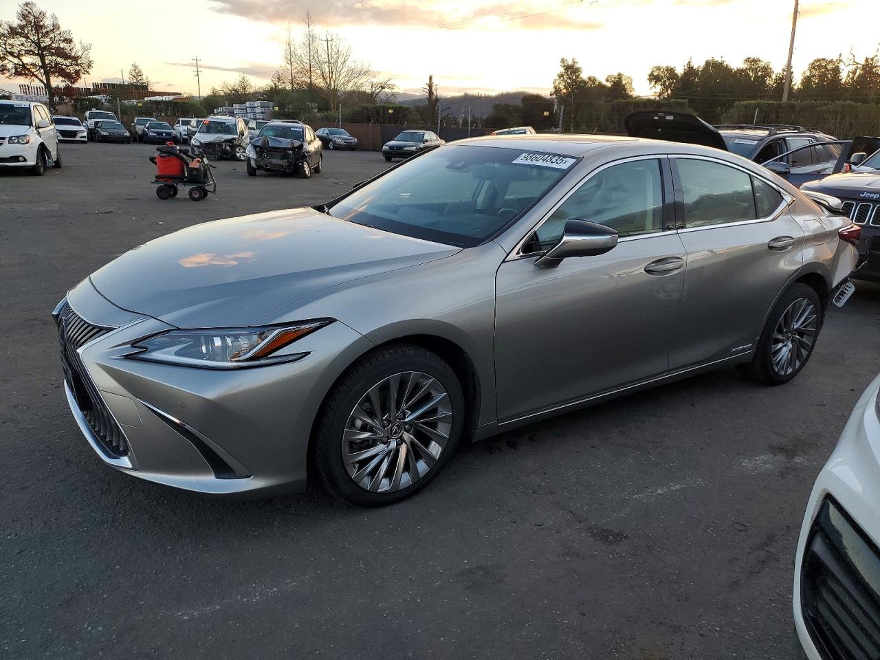 2019 LEXUS ES