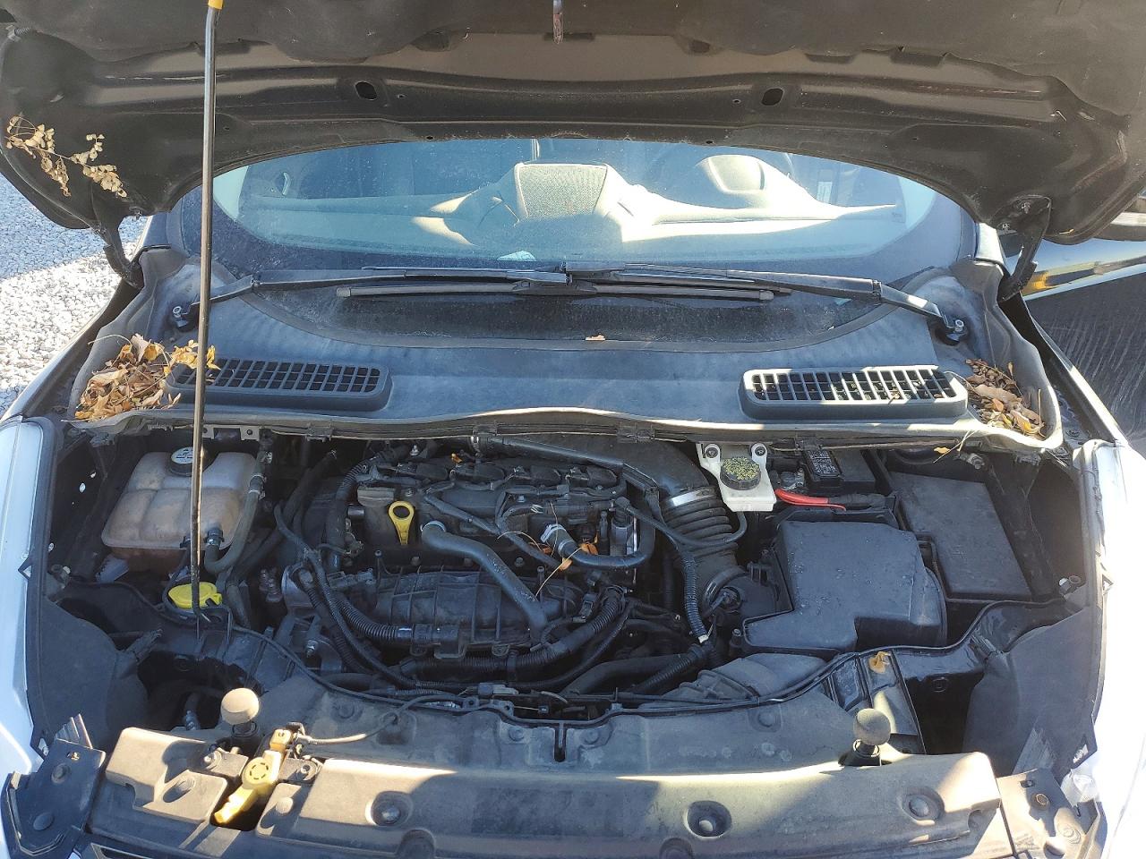 2014 FORD ESCAPE TITANIUM photo 12