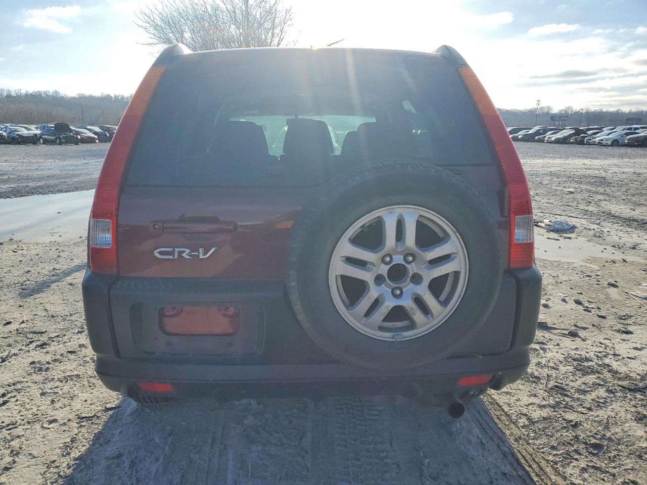 2004 HONDA CR-V EX photo 6