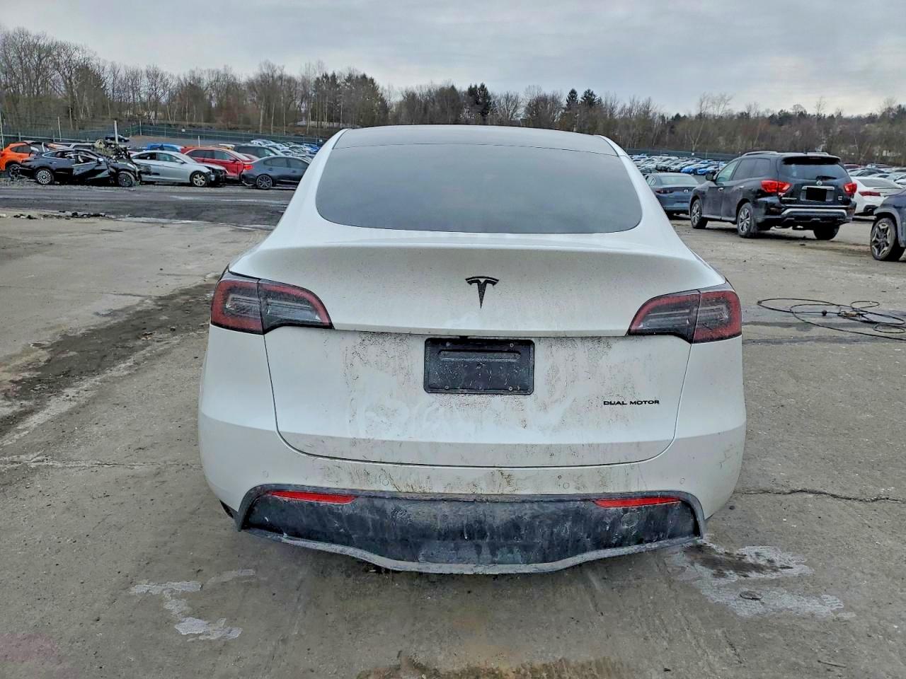 2021 TESLA MODEL Y photo 6