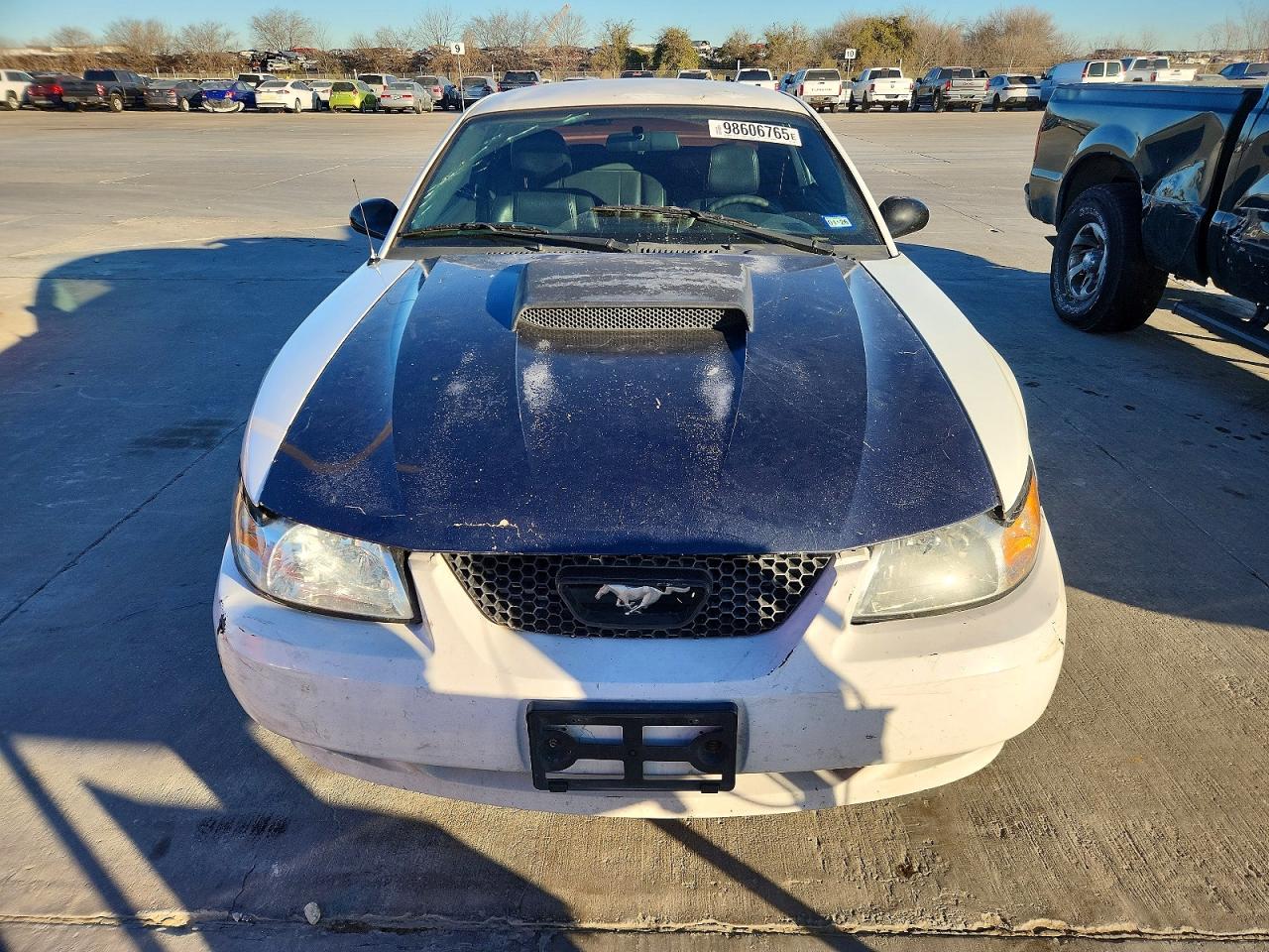 2004 FORD MUSTANG photo 5