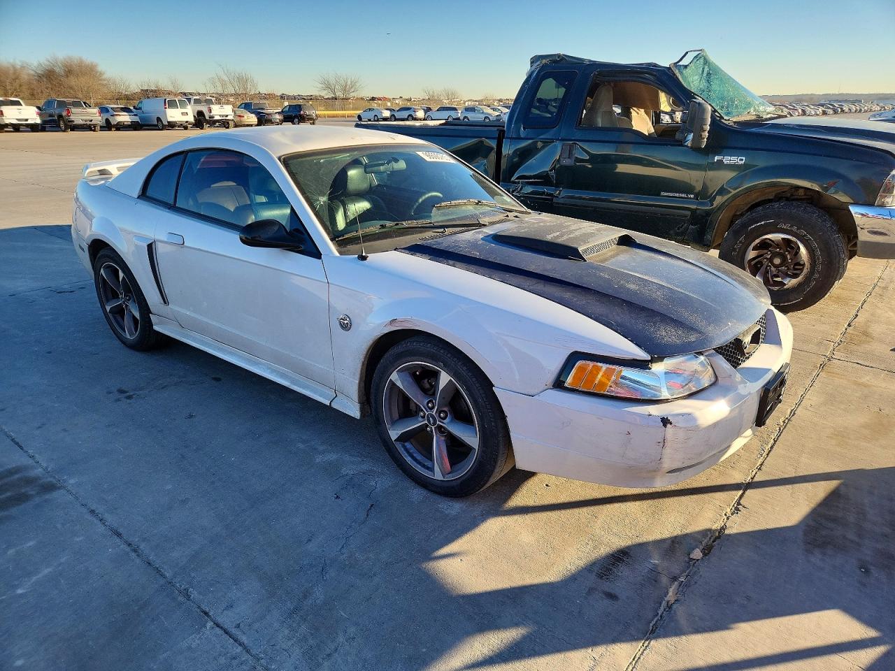 2004 FORD MUSTANG photo 4