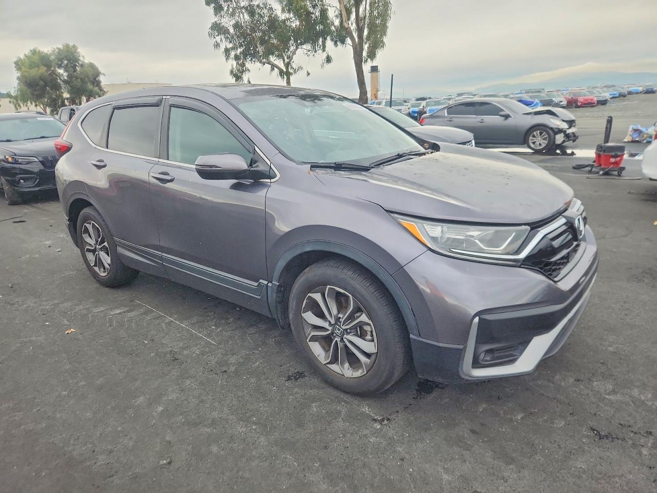 2020 HONDA CR-V EX photo 4