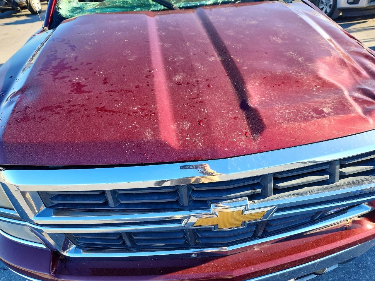 2014 CHEVROLET SILVERADO K1500 LT photo 11