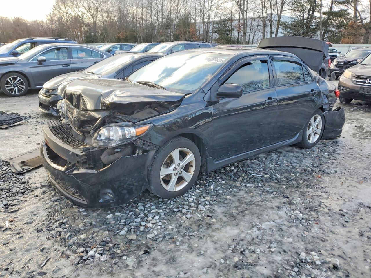 2011 TOYOTA COROLLA