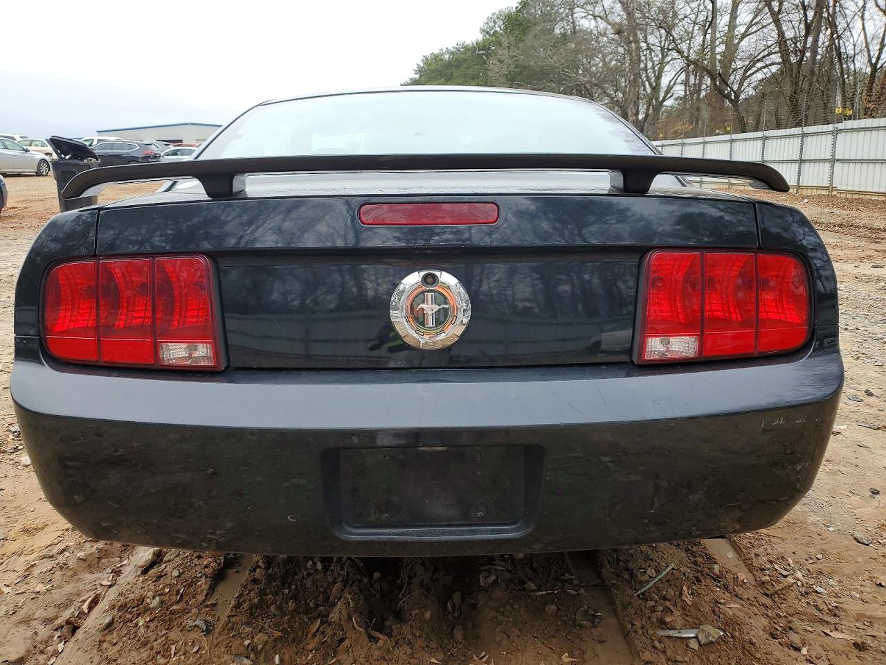 2005 FORD MUSTANG photo 11