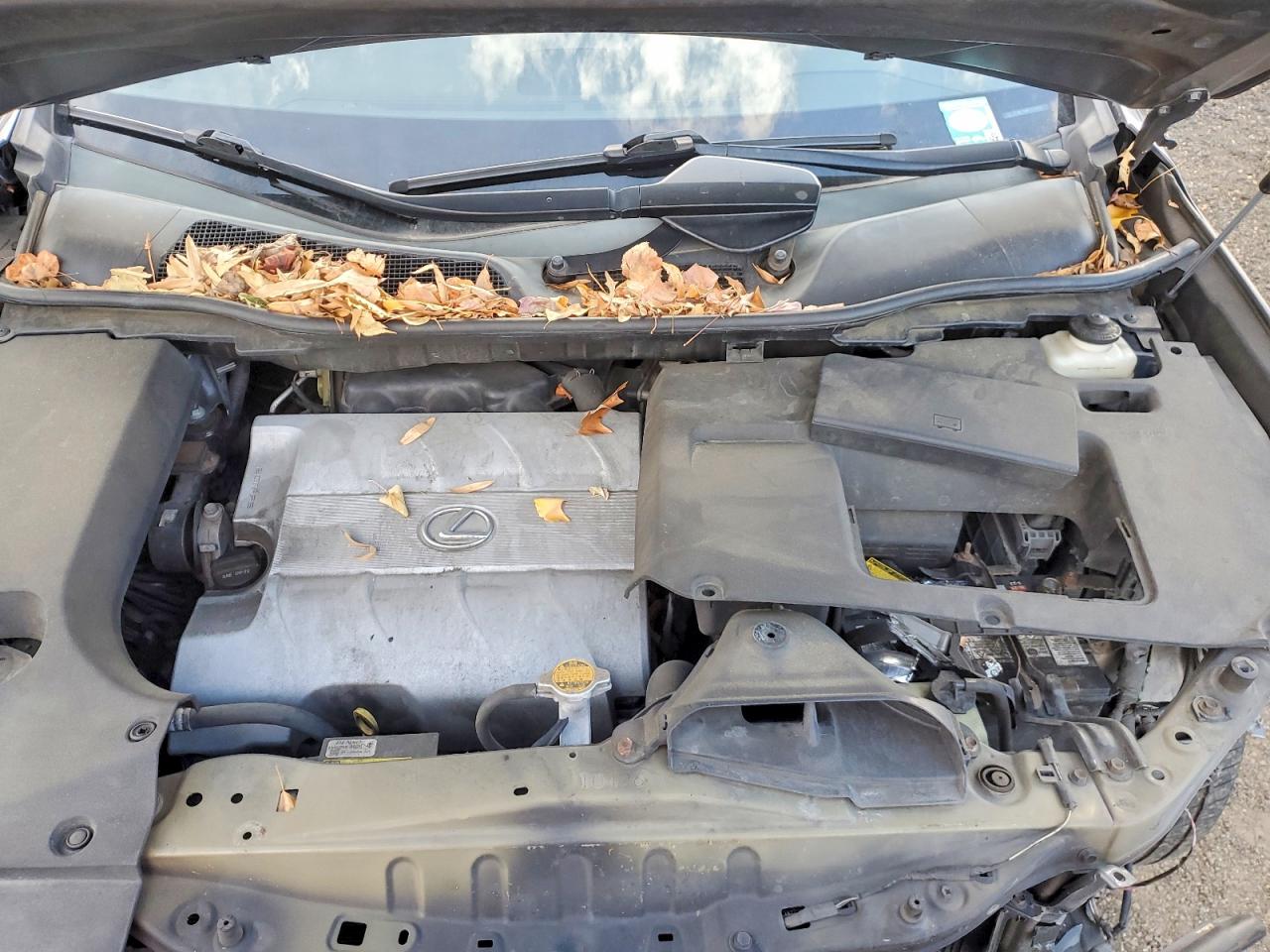 2015 LEXUS RX 350 BASE photo 12