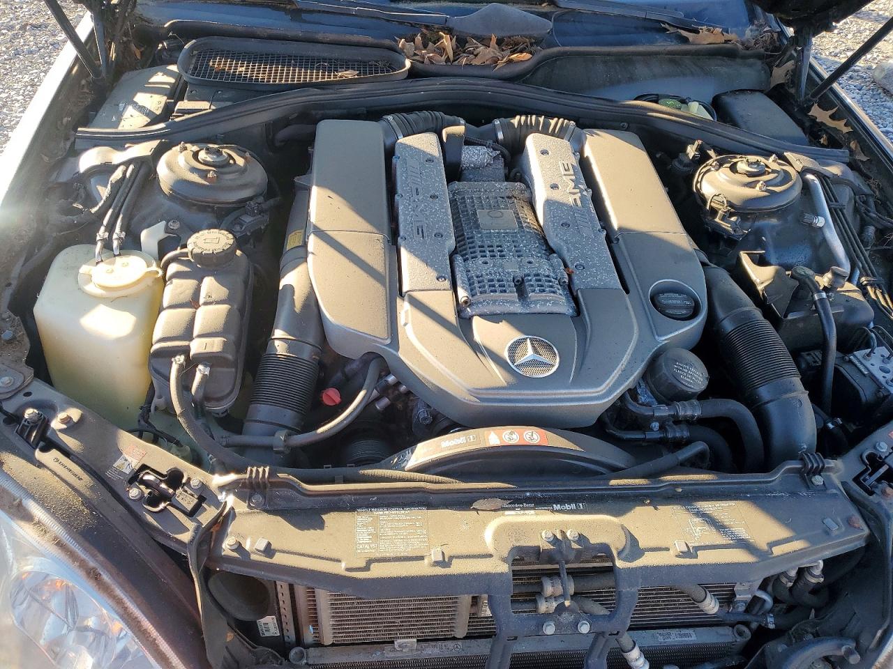 2006 MERCEDES-BENZ S 55 AMG photo 11
