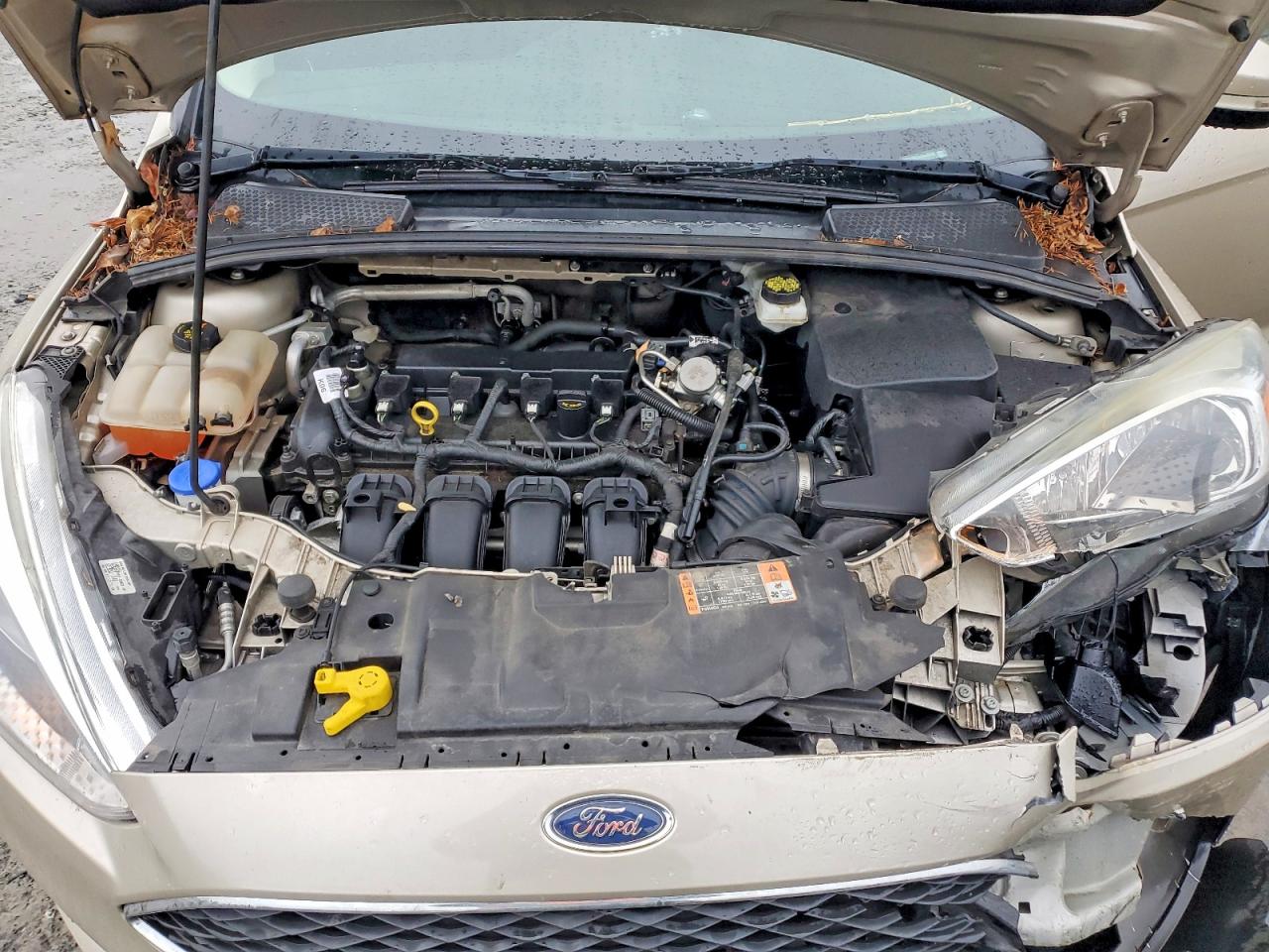 2017 FORD FOCUS SE photo 11