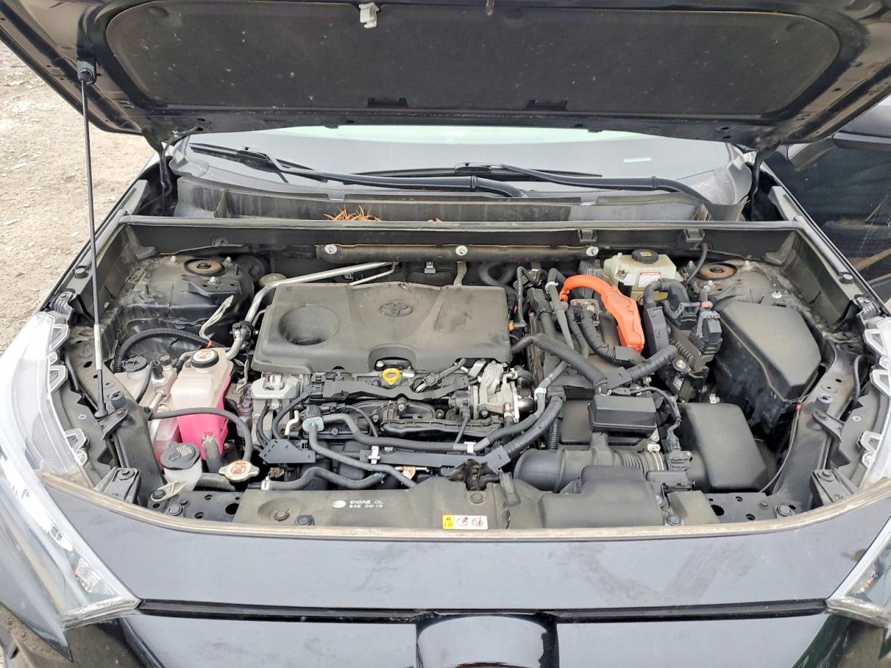 2021 TOYOTA RAV4 LE photo 12