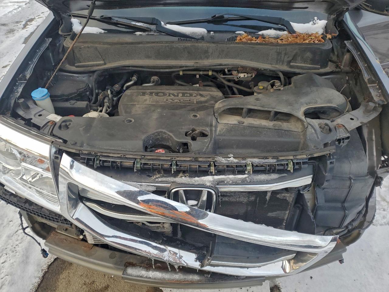 2015 HONDA PILOT EXL photo 12