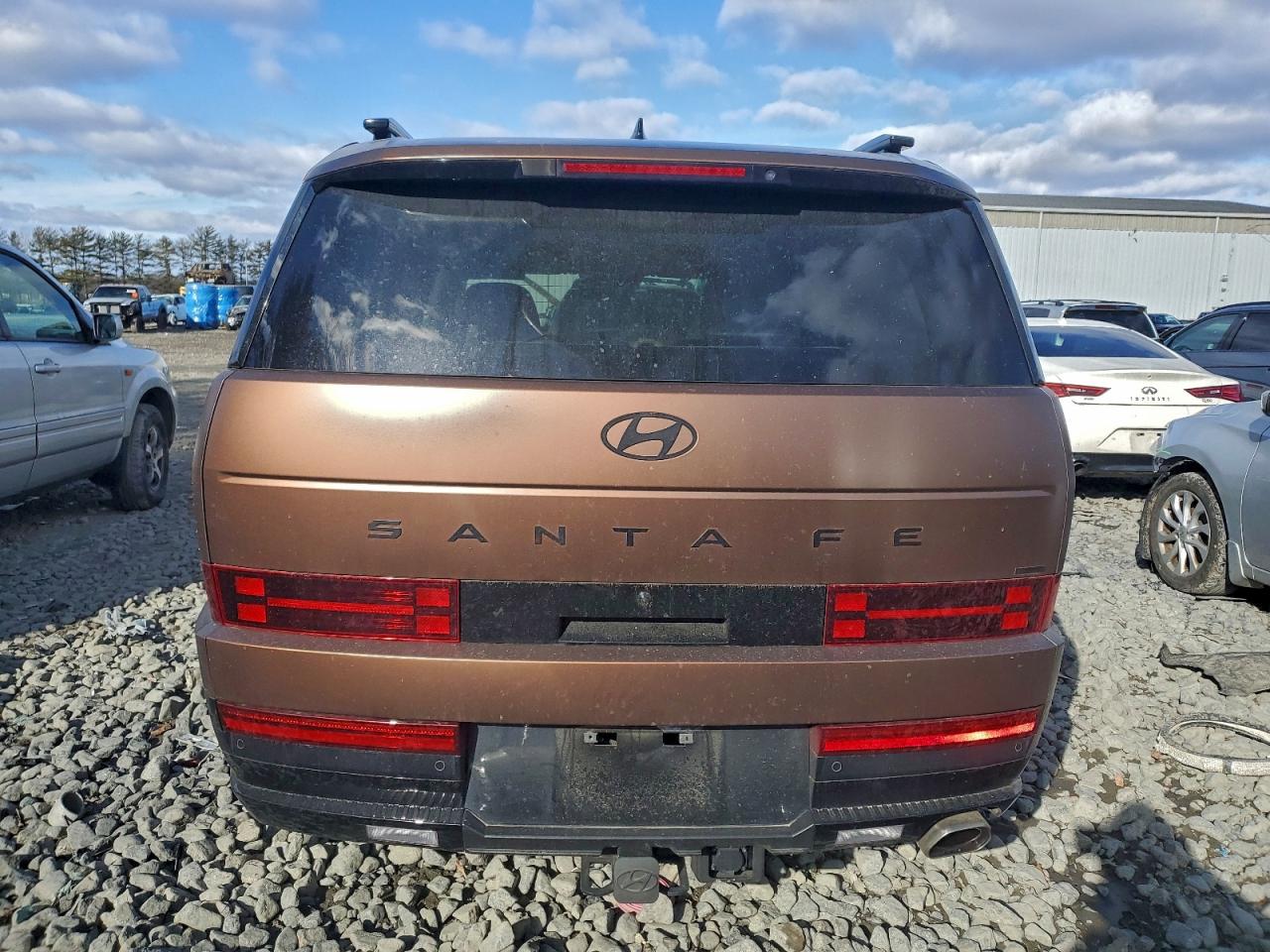 2025 HYUNDAI SANTA FE CALLIGRAPHY photo 6