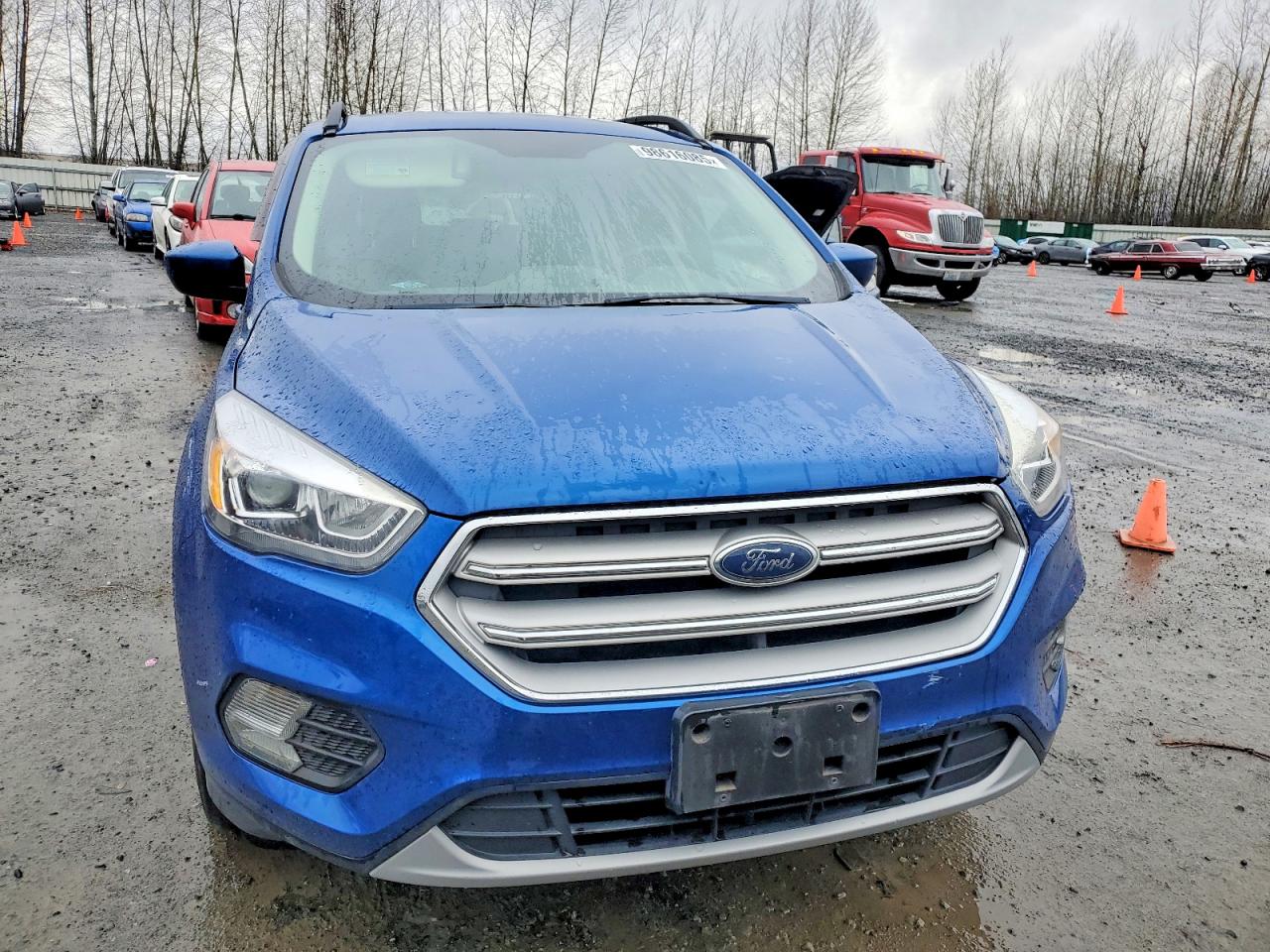 2019 FORD ESCAPE SEL photo 5