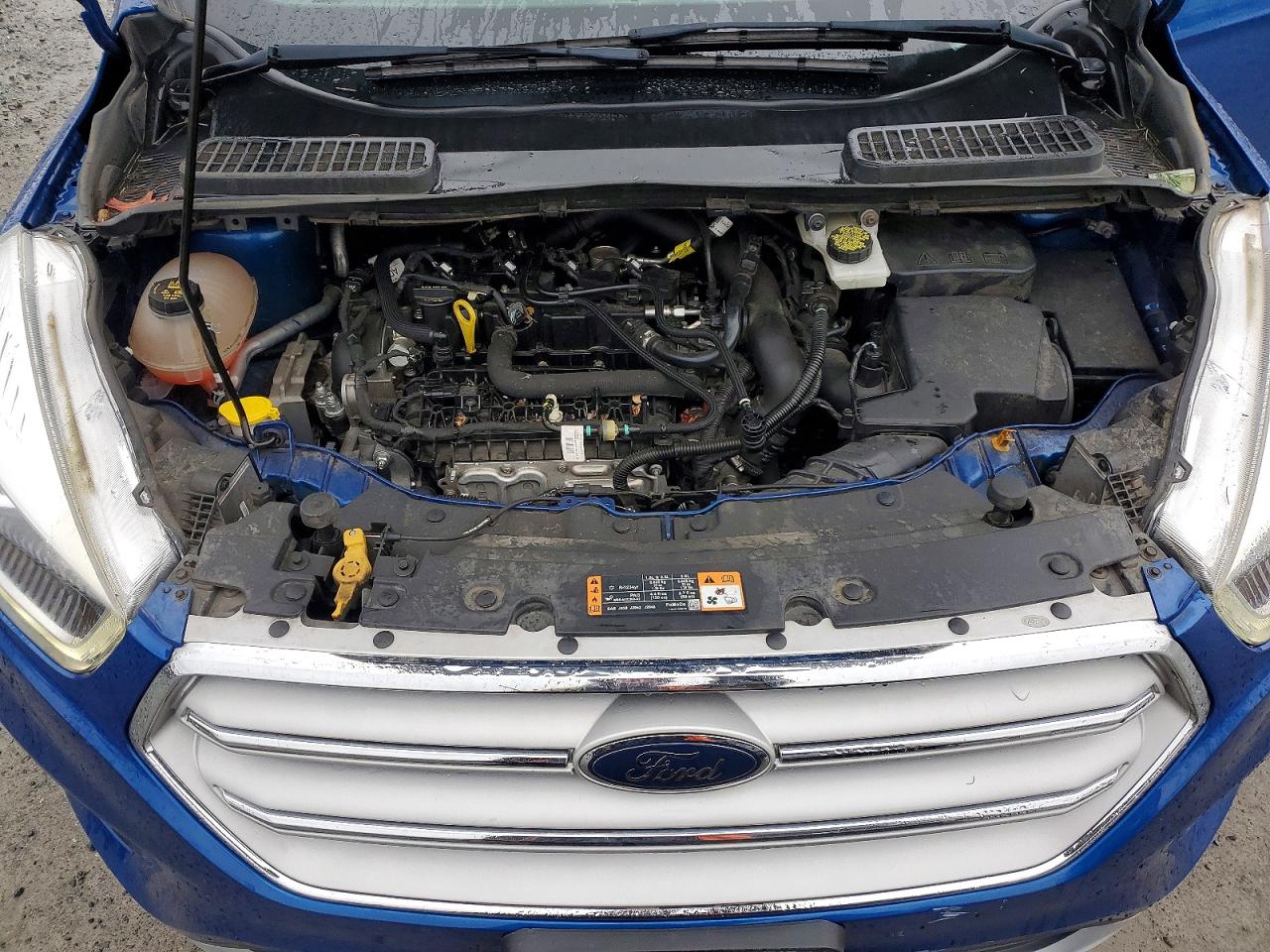 2019 FORD ESCAPE SEL photo 12
