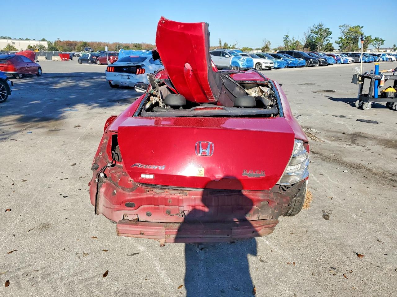 2008 HONDA ACCORD EXL photo 6