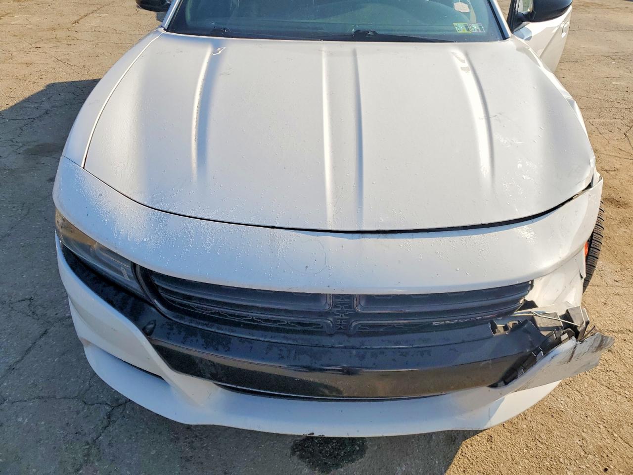 2017 DODGE CHARGER SXT photo 11