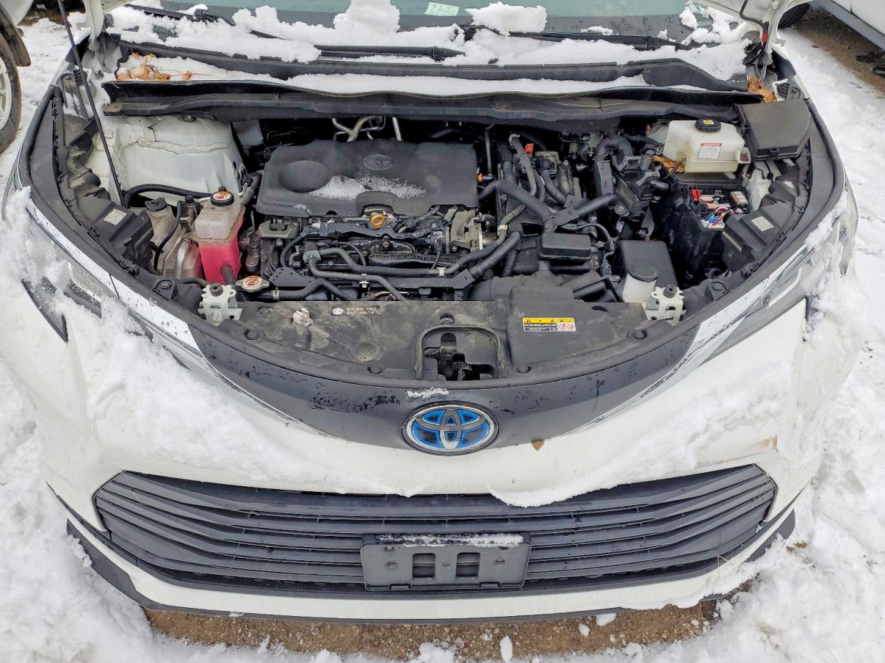 2021 TOYOTA SIENNA LE photo 11