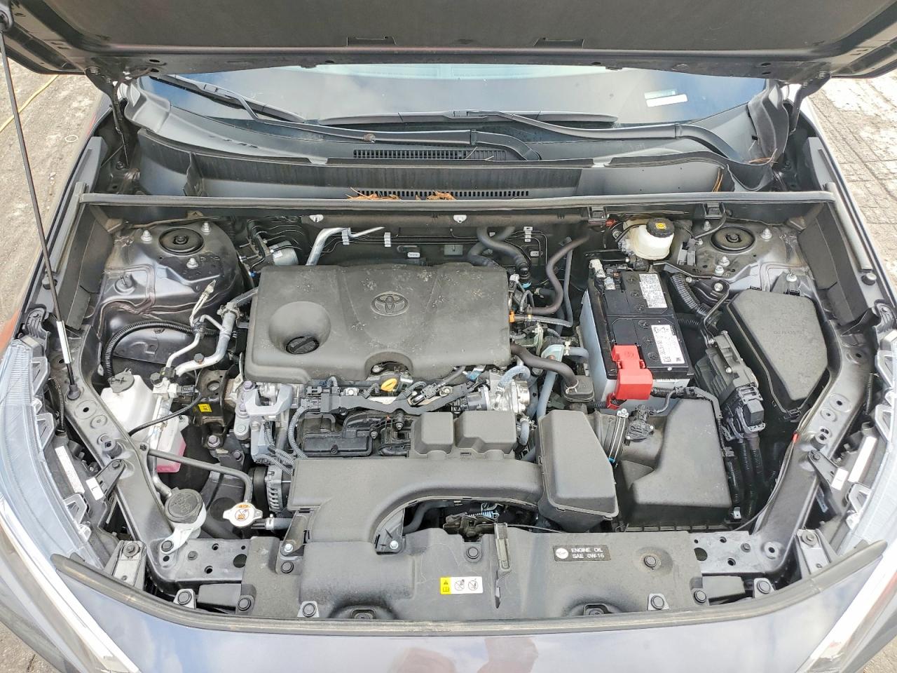 2024 TOYOTA RAV4 LE photo 12