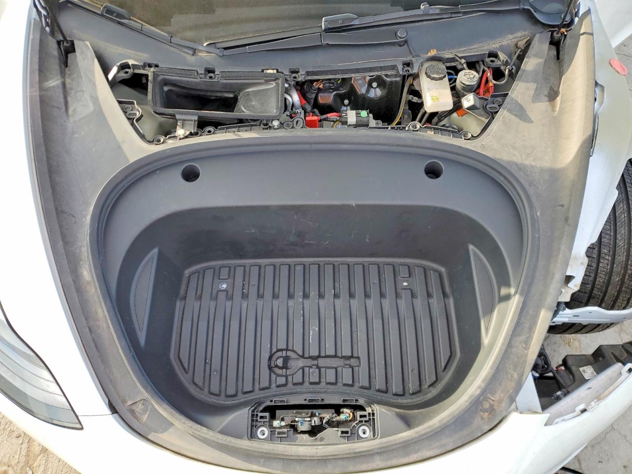 2023 TESLA MODEL 3 photo 11