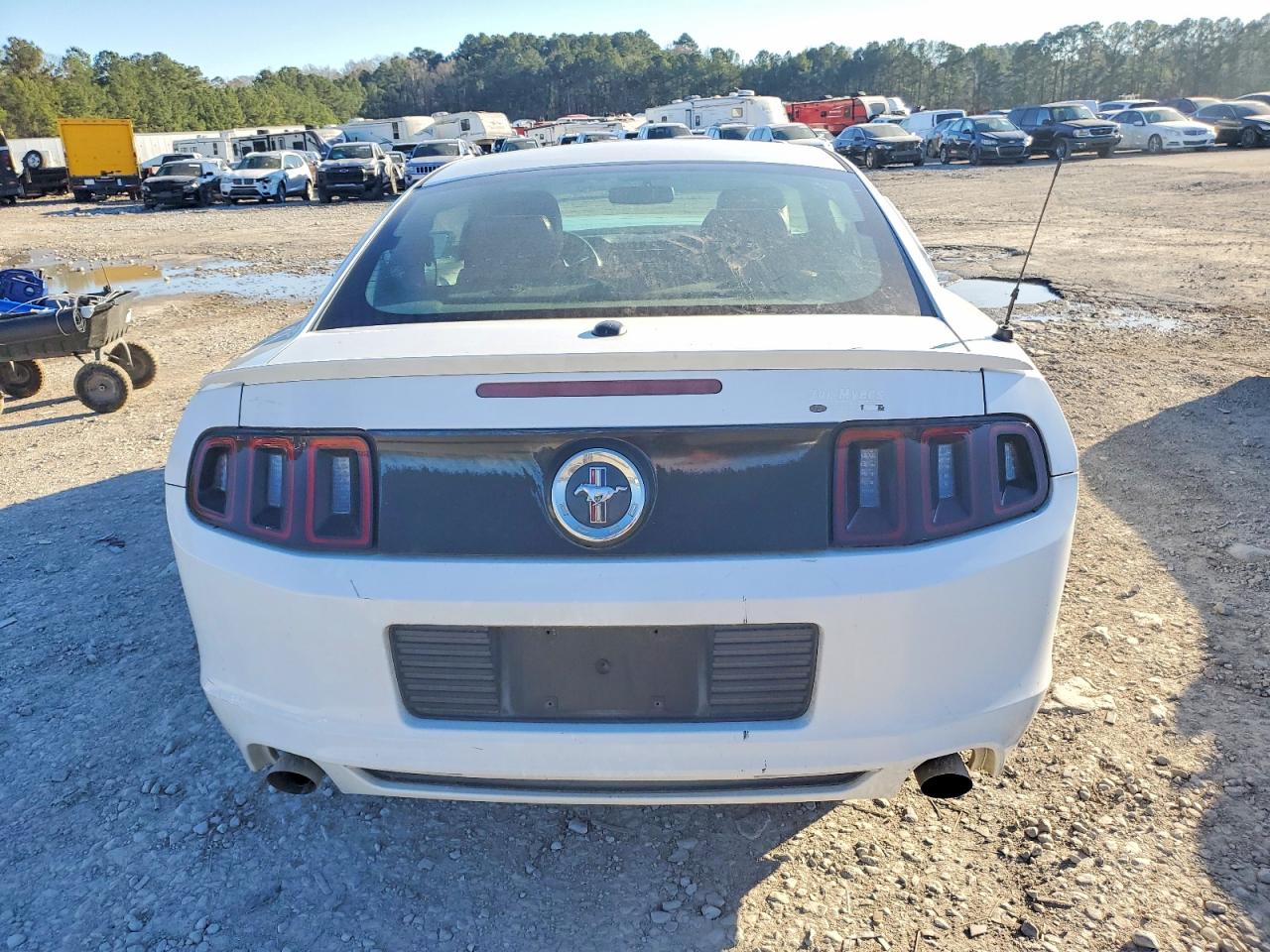2014 FORD MUSTANG photo 6