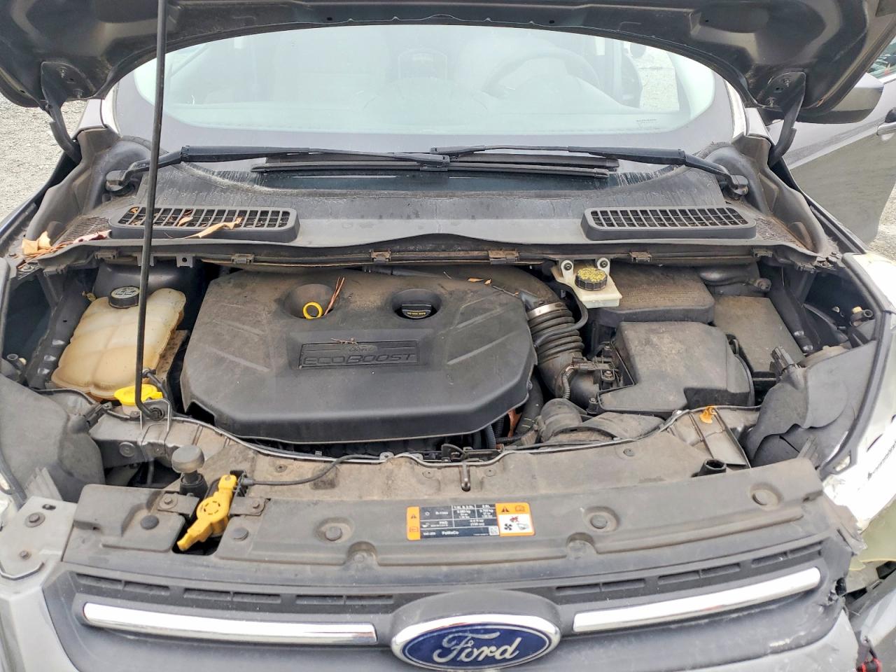 2013 FORD ESCAPE SE photo 11
