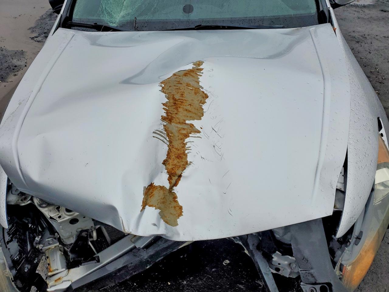2009 HONDA ACCORD LX photo 11