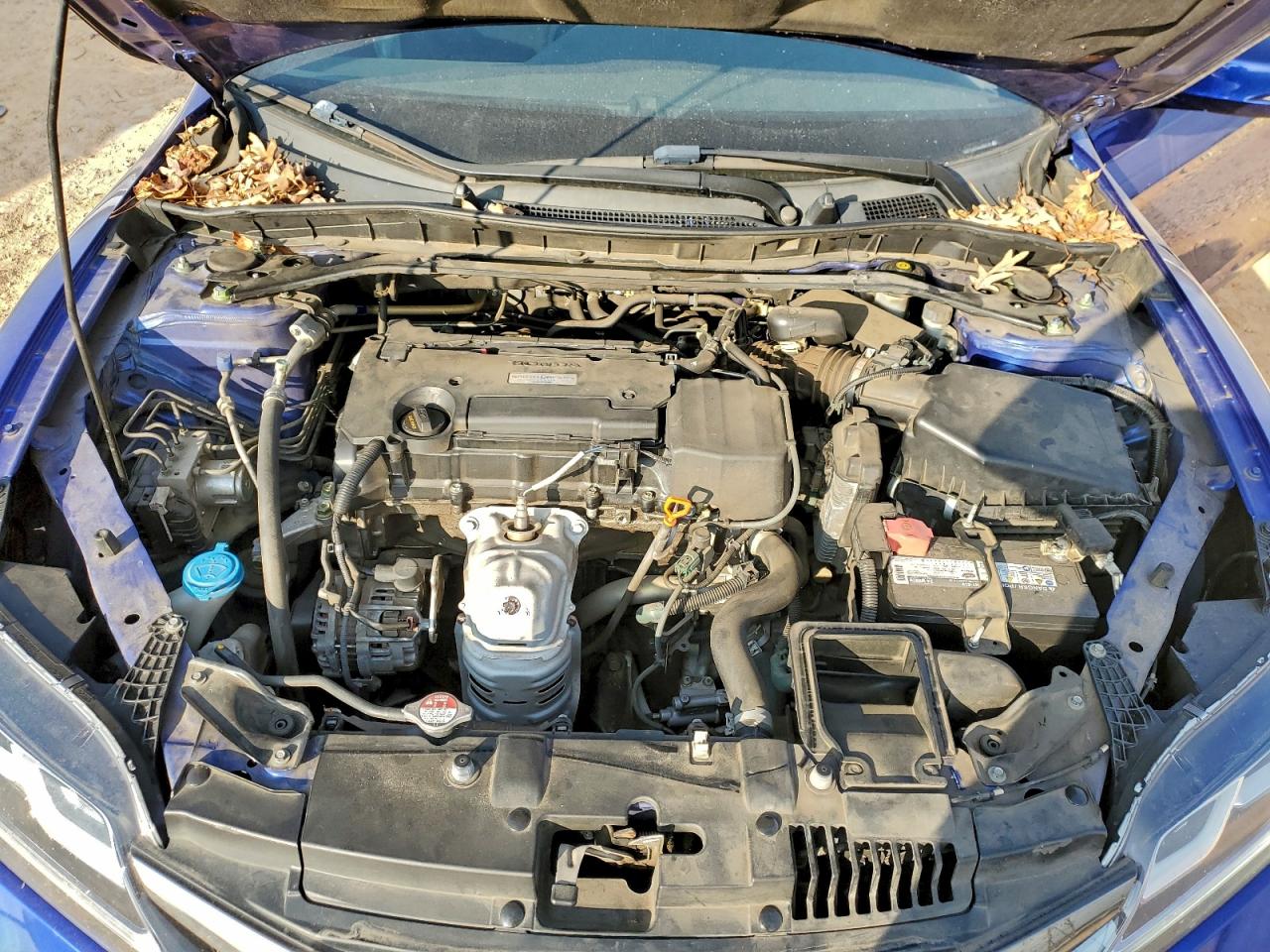 2017 HONDA ACCORD EX photo 11