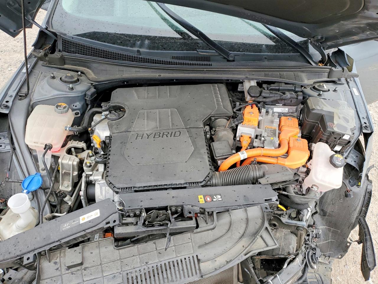 2023 HYUNDAI ELANTRA LIMITED photo 11