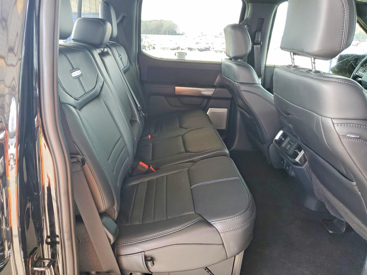 2024 FORD F150 PLATINUM photo 10