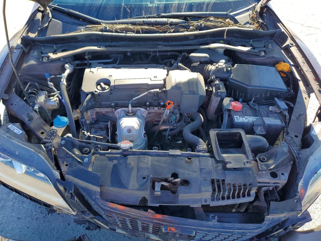 2013 HONDA ACCORD LX-S photo 11
