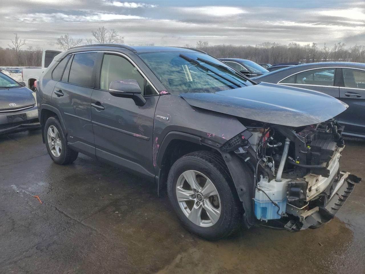 2019 TOYOTA RAV4 XLE photo 4