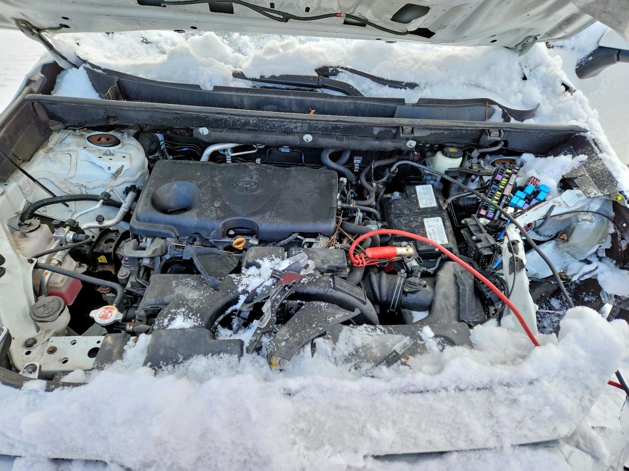 2019 TOYOTA RAV4 LE photo 12