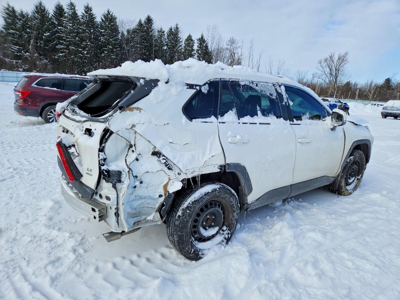 2019 TOYOTA RAV4 LE photo 3