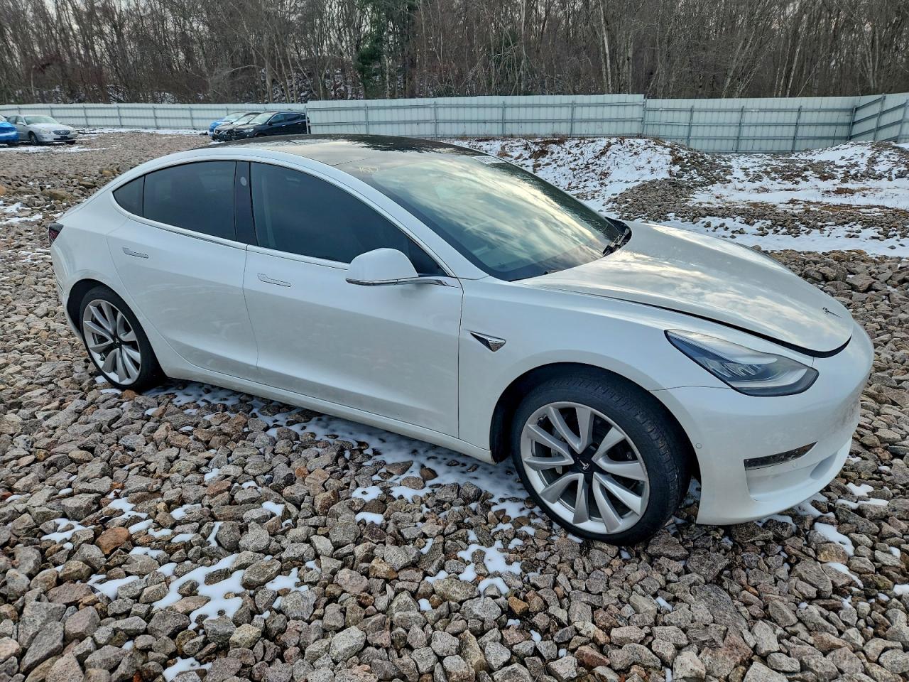 2019 TESLA MODEL 3 photo 4