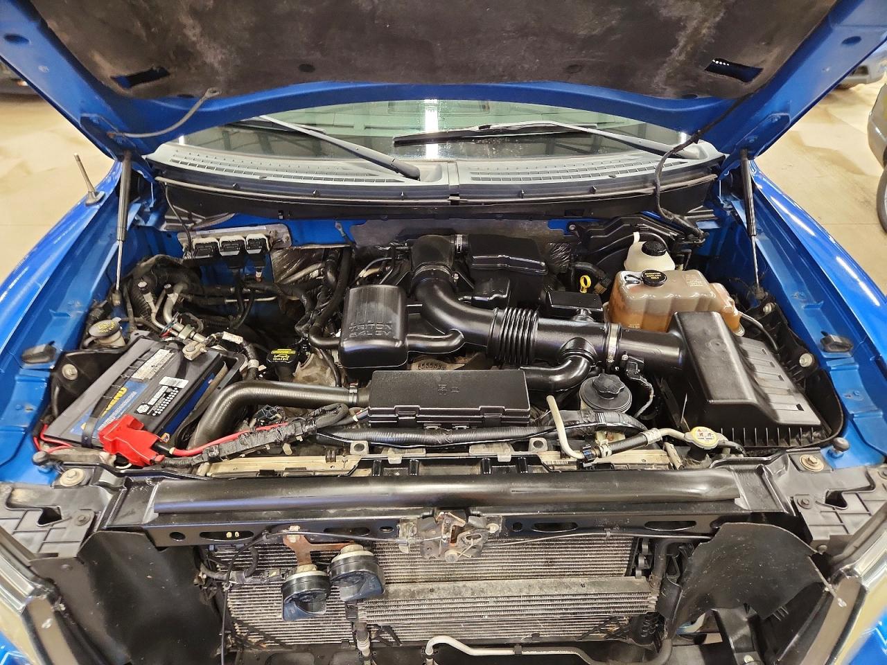 2010 FORD F150 SUPER CAB photo 11