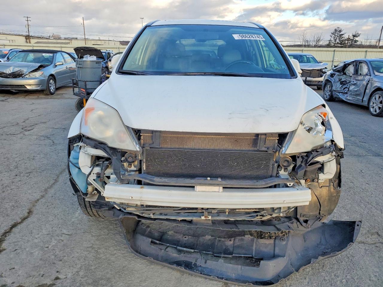 2010 HONDA CR-V EXL photo 5