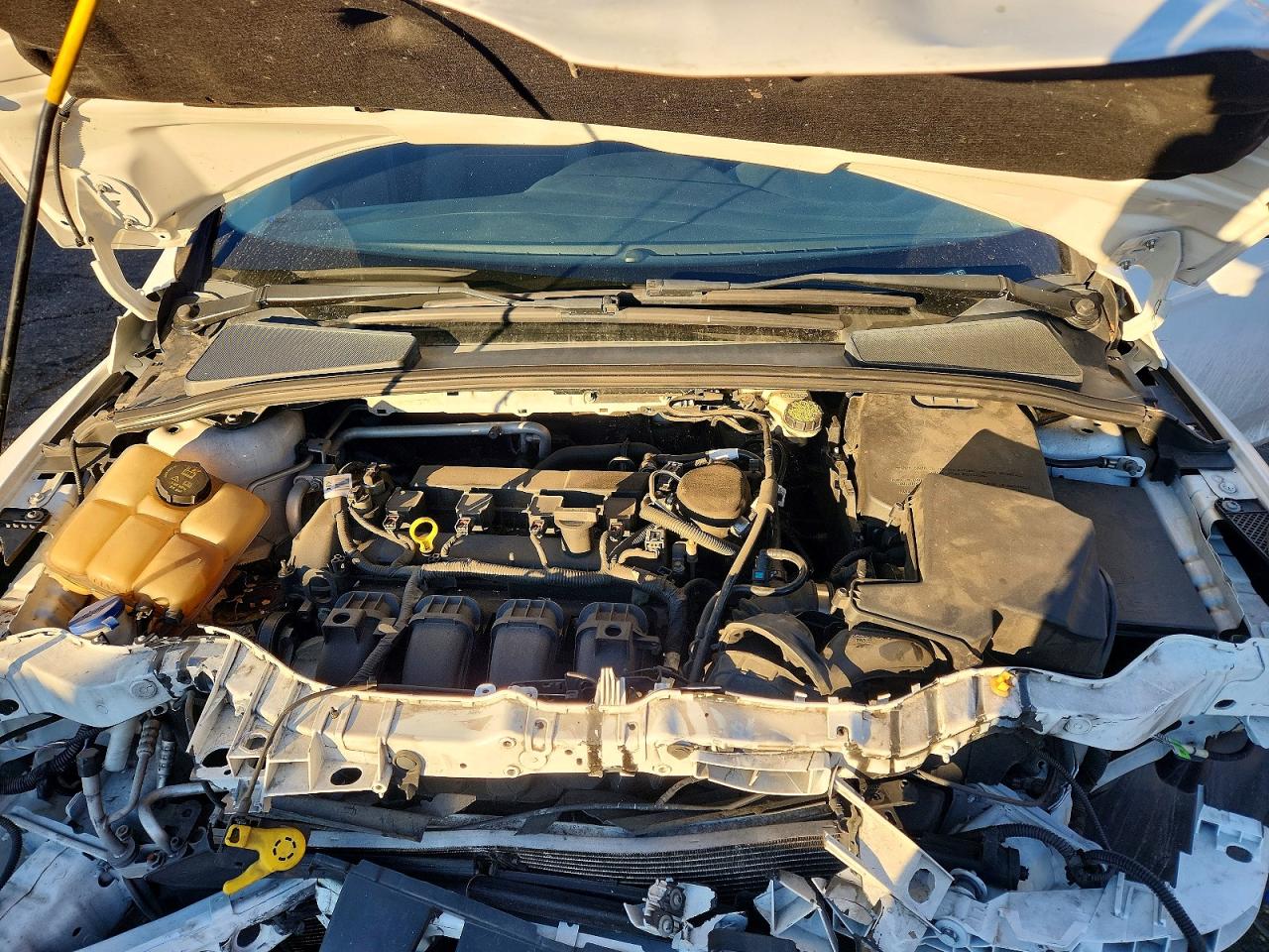 2014 FORD FOCUS SE photo 11