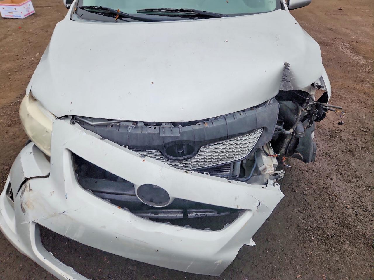 2010 TOYOTA COROLLA BASE photo 11