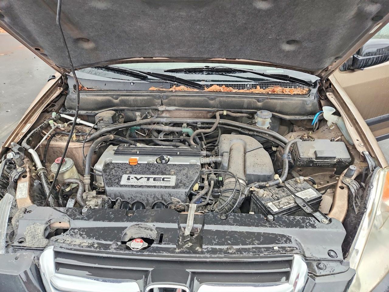 2002 HONDA CR-V LX photo 12