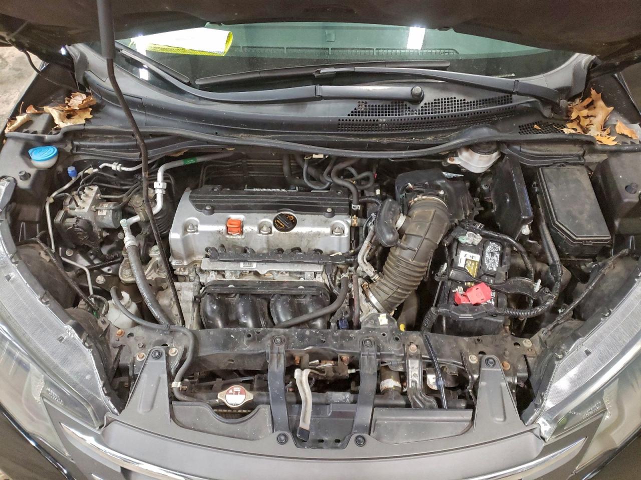 2014 HONDA CR-V LX photo 11
