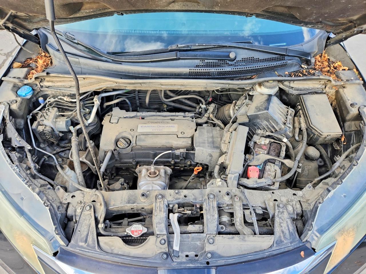 2015 HONDA CR-V LX photo 12