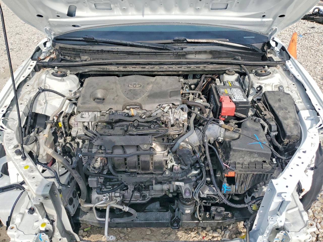 2023 TOYOTA CAMRY LE photo 11
