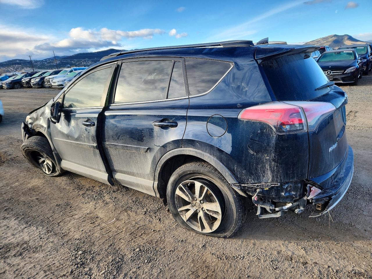 2017 TOYOTA RAV4 XLE photo 2