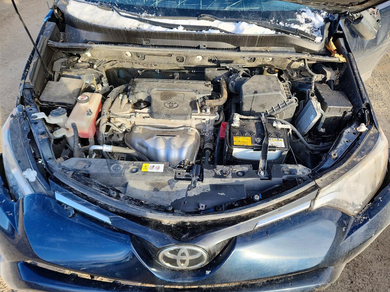 2017 TOYOTA RAV4 XLE photo 12