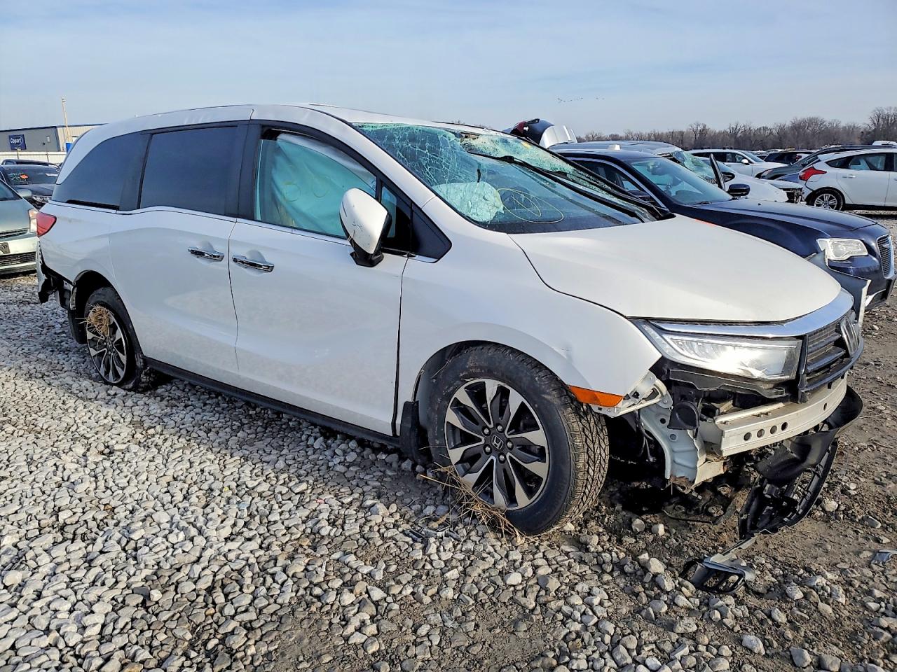 2023 HONDA ODYSSEY EXL photo 4