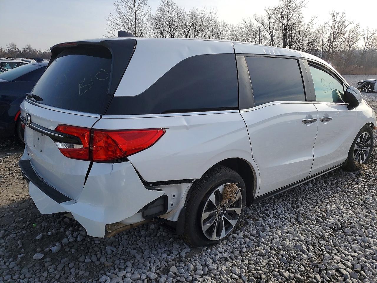 2023 HONDA ODYSSEY EXL photo 3