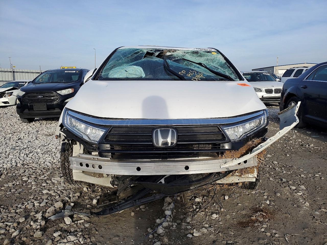 2023 HONDA ODYSSEY EXL photo 5
