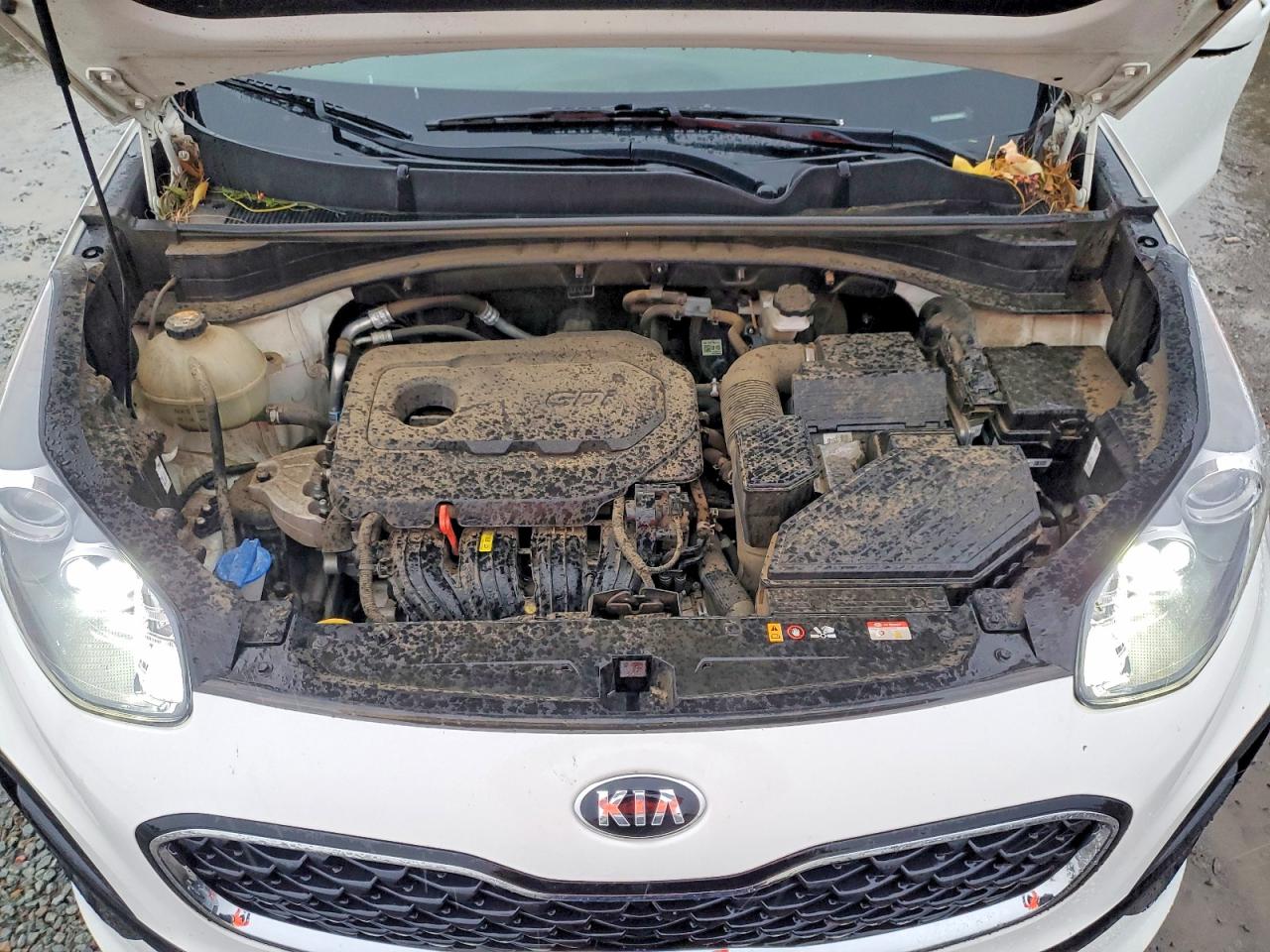 2020 KIA SPORTAGE LX photo 12