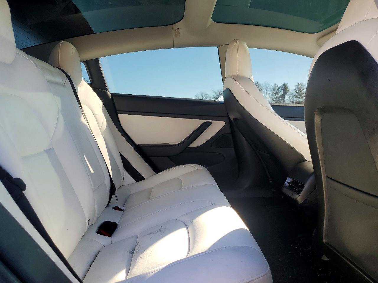 2020 TESLA MODEL 3 photo 10