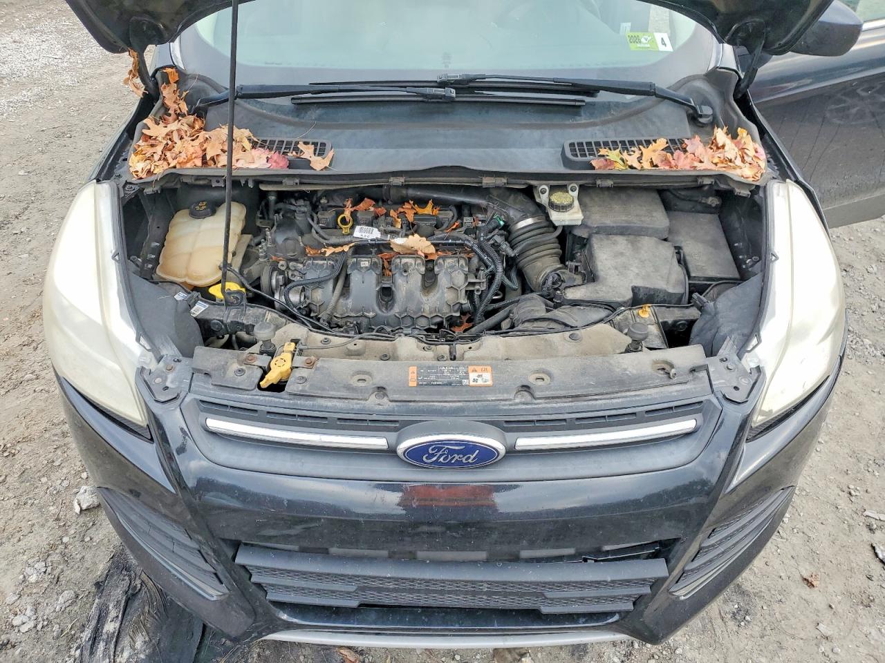 2014 FORD ESCAPE SE photo 12